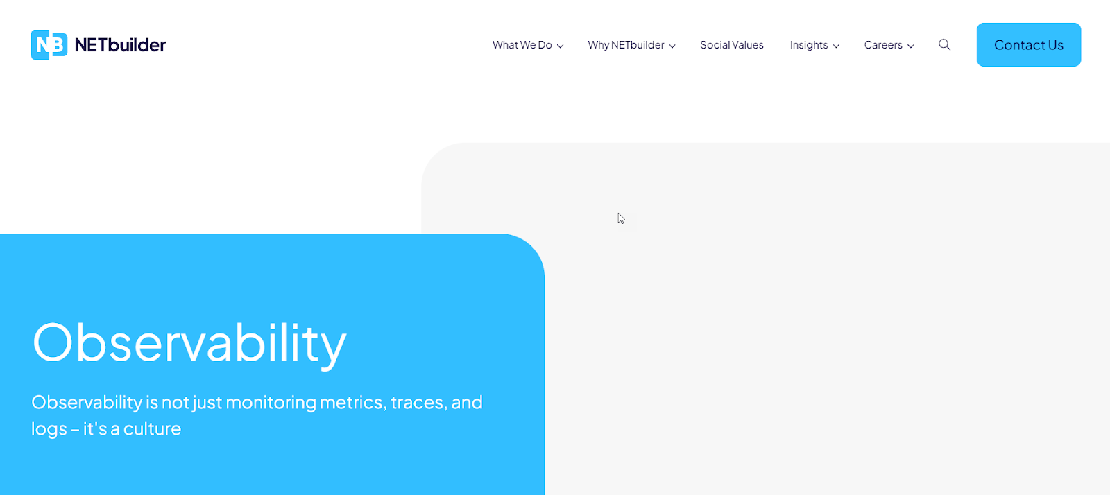 Netbuilder presents observability culture beyond metrics, logs, and traces.