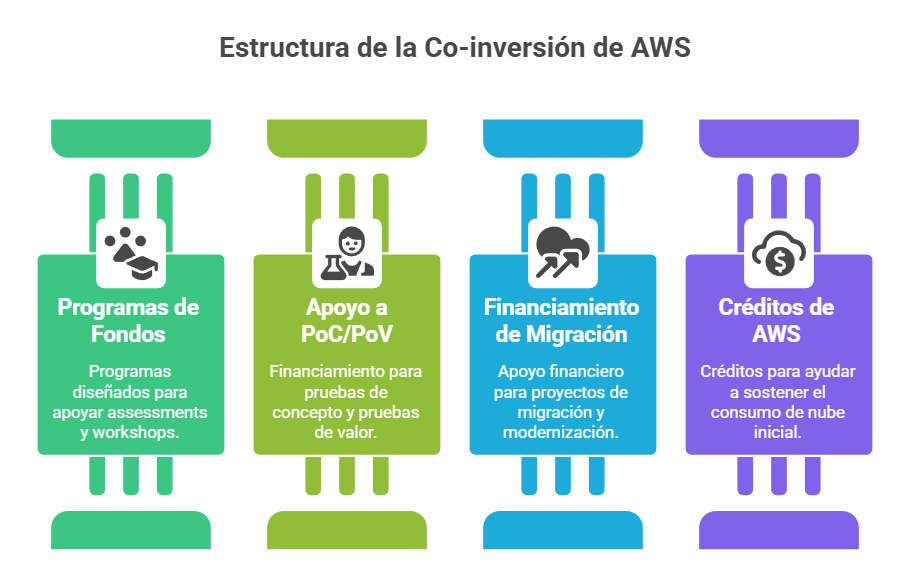 Estructura de la Co-inversion de AWS